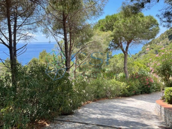 TRILOCALE VISTA MARE ISOLA D'ELBA VISTA