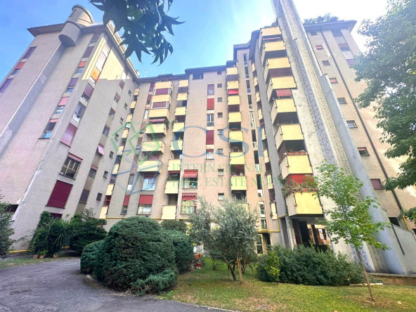 PENTALOCALE PANORAMICO MILANO