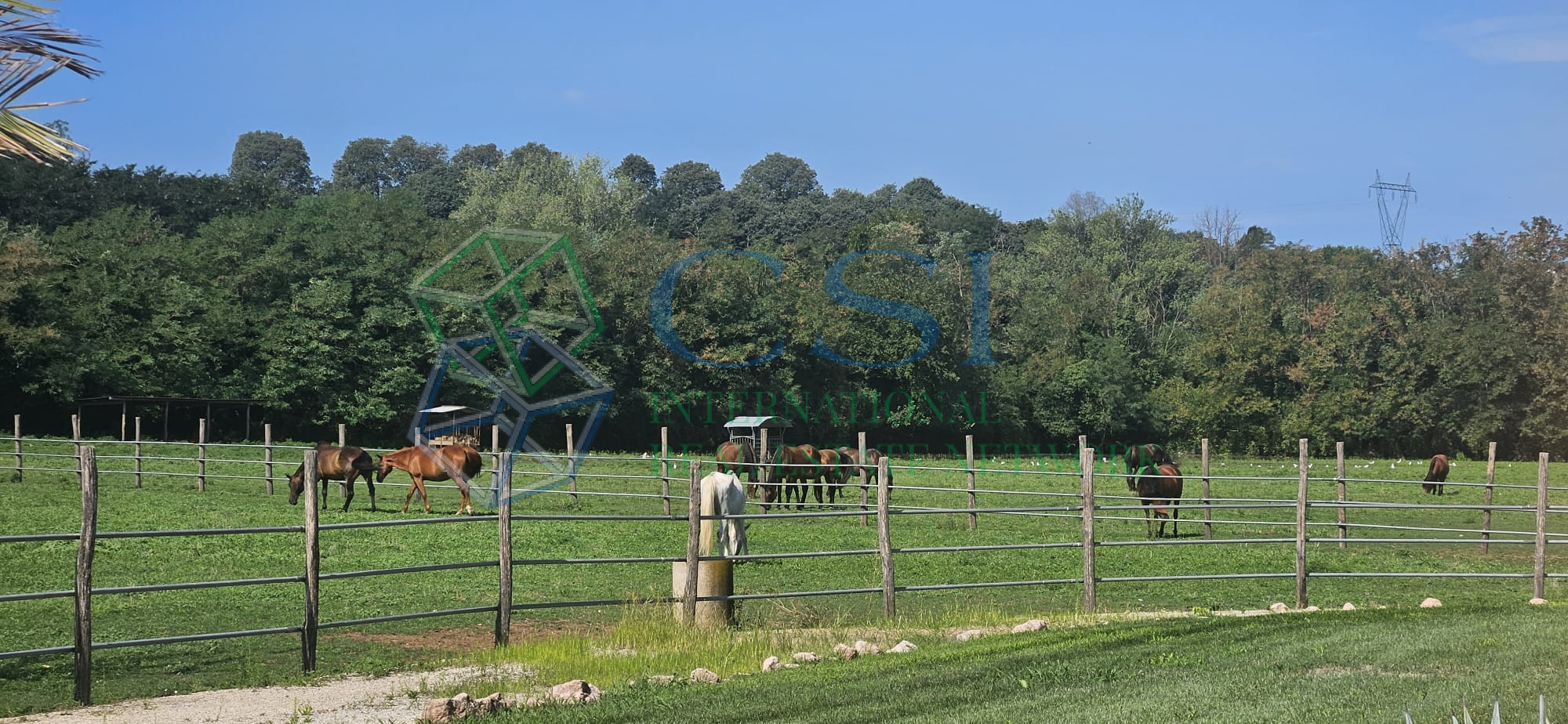 ITALIA - Proprietà rurale con villa con ampia piscina e terreno vicino a Verona_foto aerea